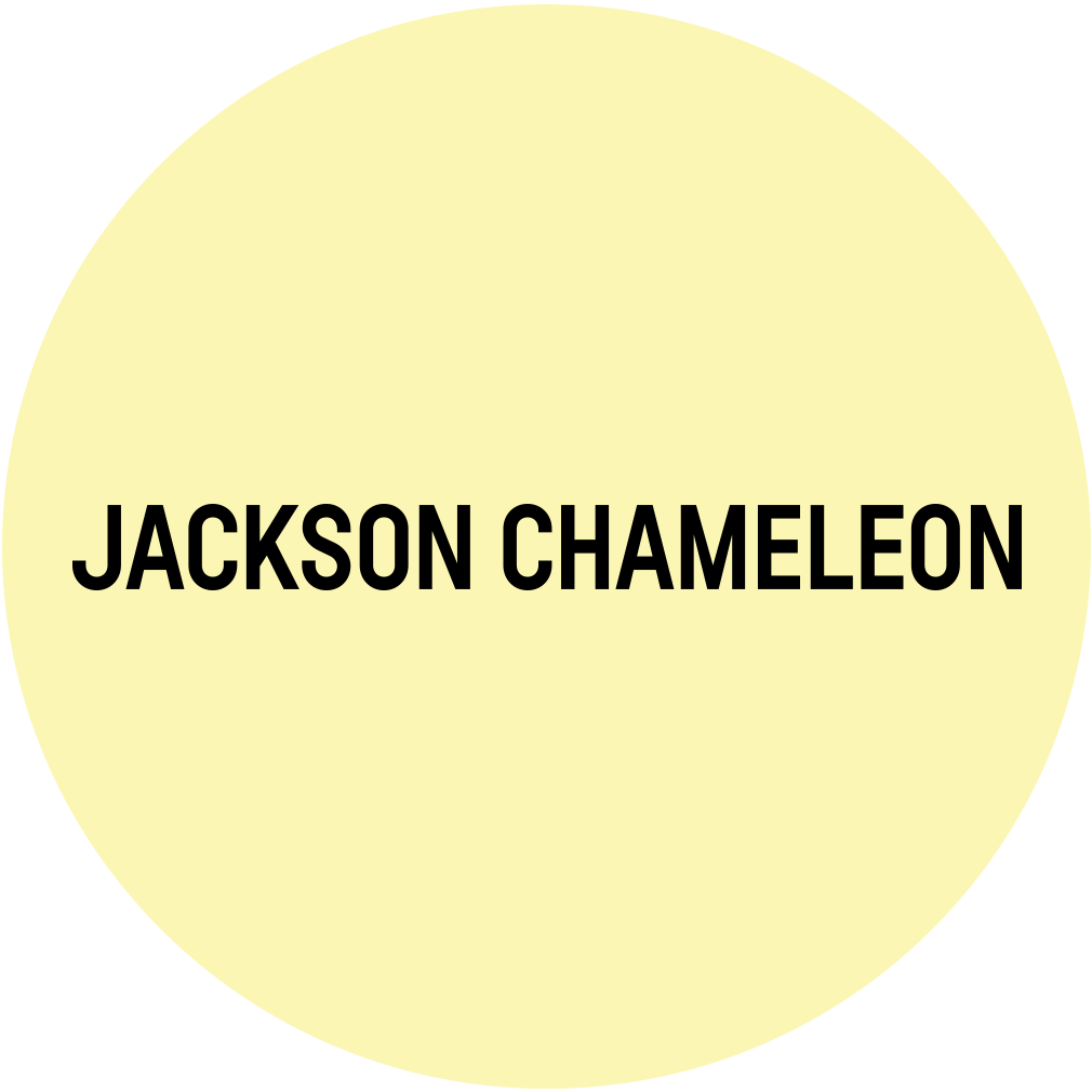jackson chameleon projects